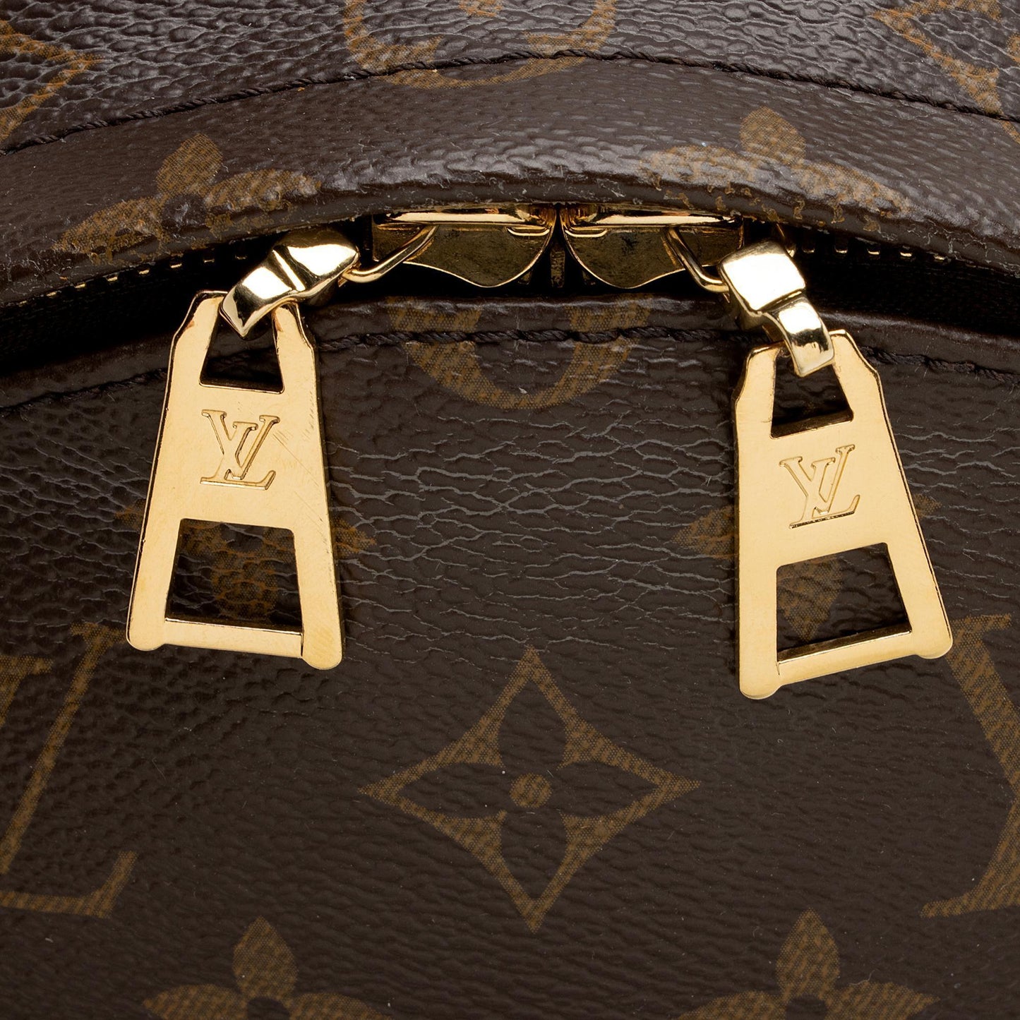 Louis Vuitton Monogram Canvas Palm Springs PM Backpack (SHF-nXxV5M)