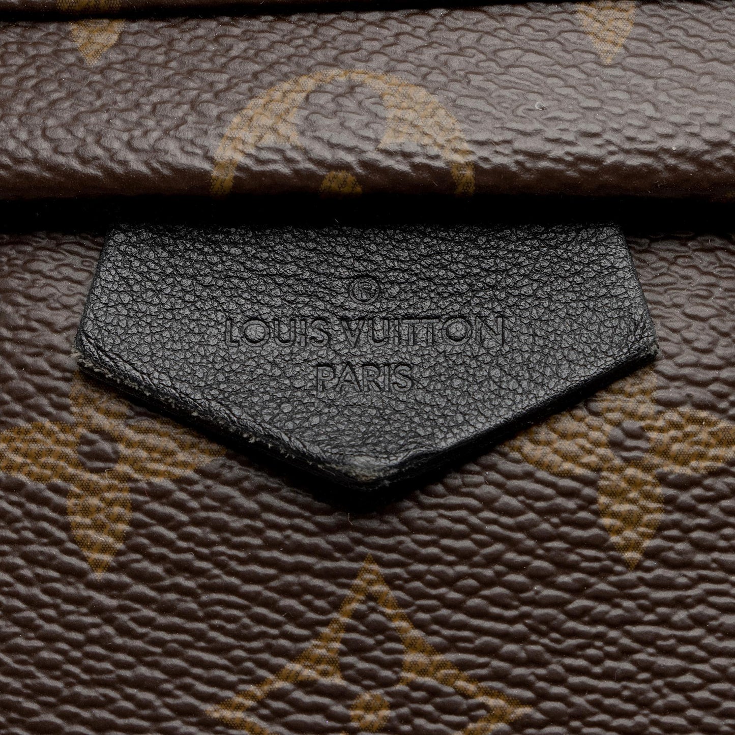 Louis Vuitton Monogram Canvas Palm Springs PM Backpack (SHF-nXxV5M)