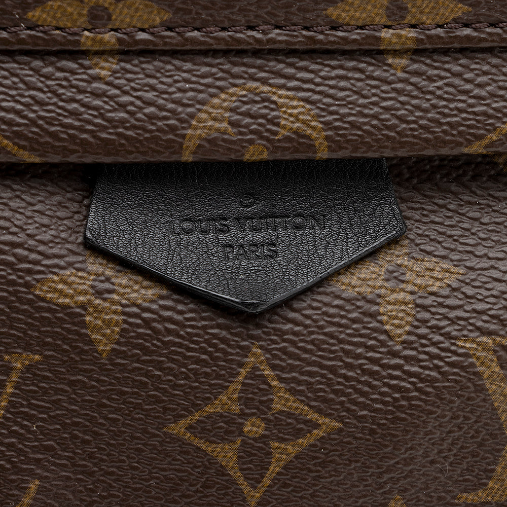 Louis Vuitton Monogram Canvas Palm Springs PM Backpack (SHF-20978)