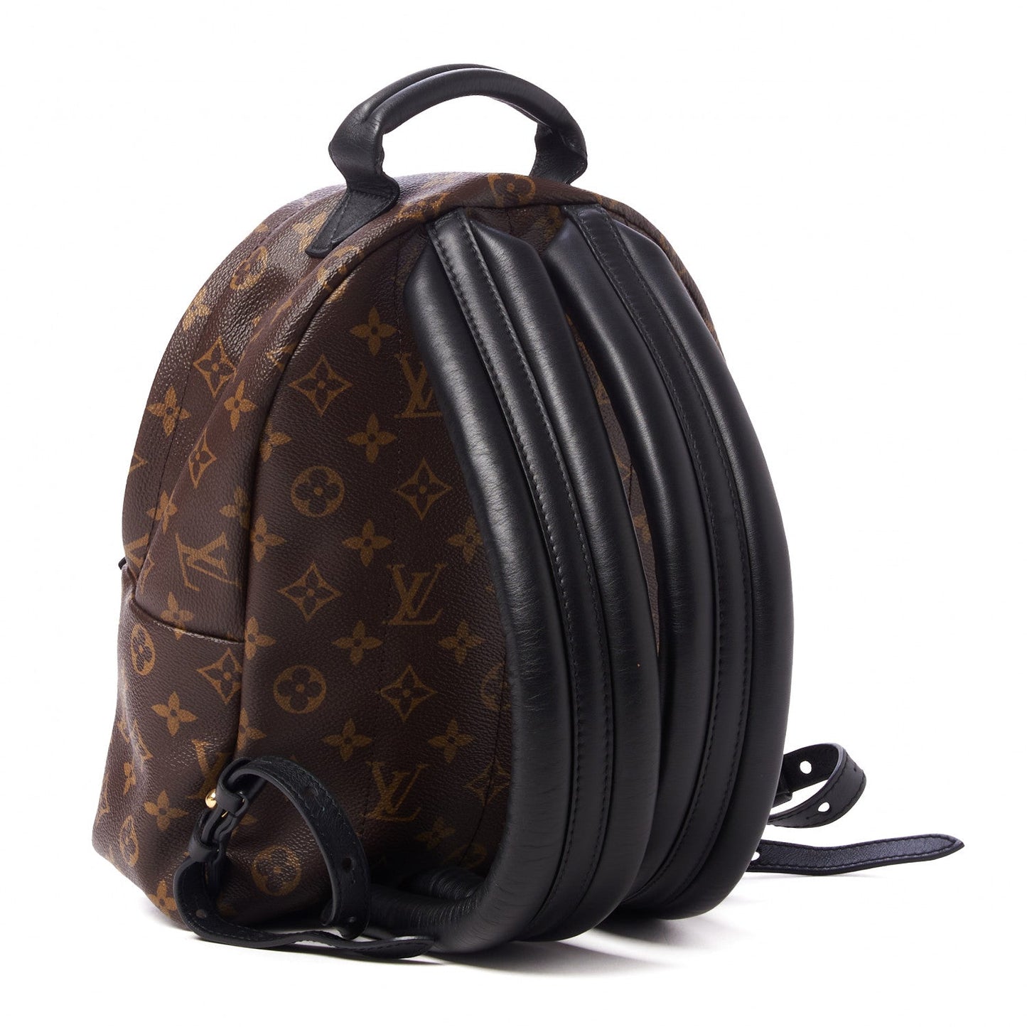 LOUIS VUITTON Monogram Palm Springs Backpack PM