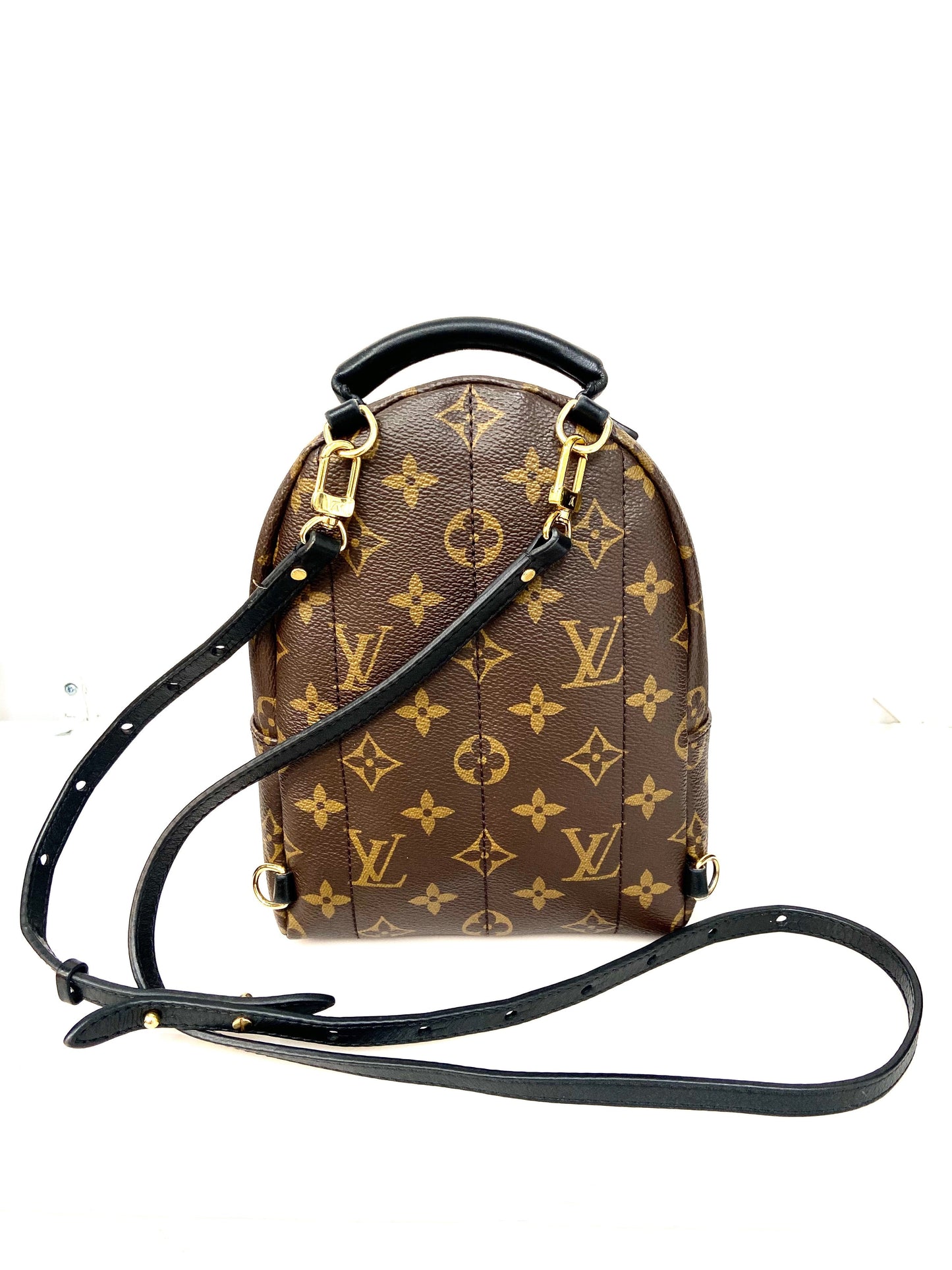 LOUIS VUITTON MONOGRAM PALM SPRINGS MINI BACKPACK