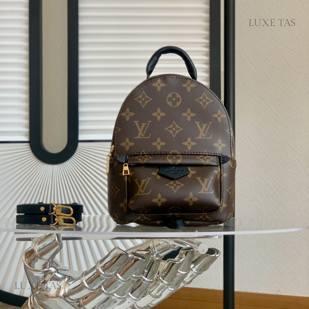 Monogram Palm Springs Mini Backpack Leather Backpack for Women