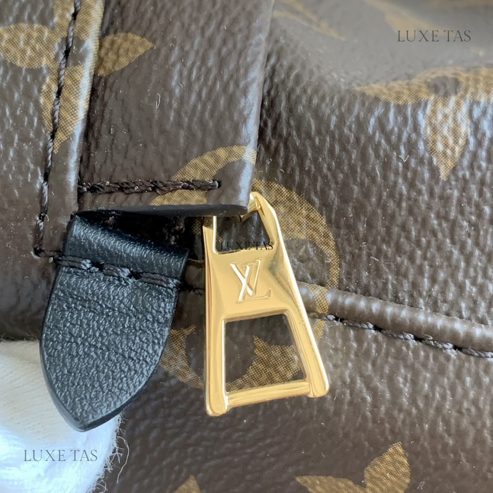 Monogram Palm Springs Mini Backpack Leather Backpack for Women