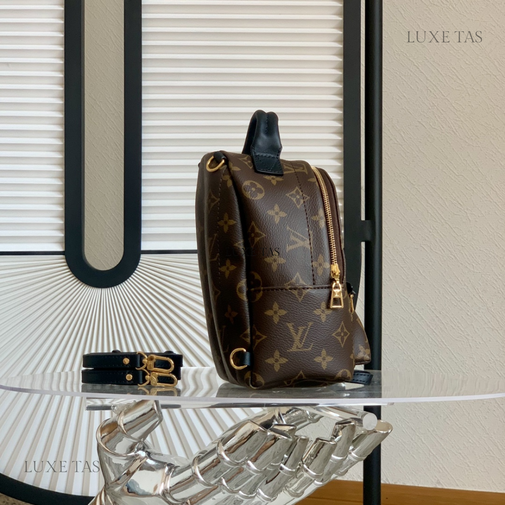 Monogram Palm Springs Mini Backpack Leather Backpack for Women
