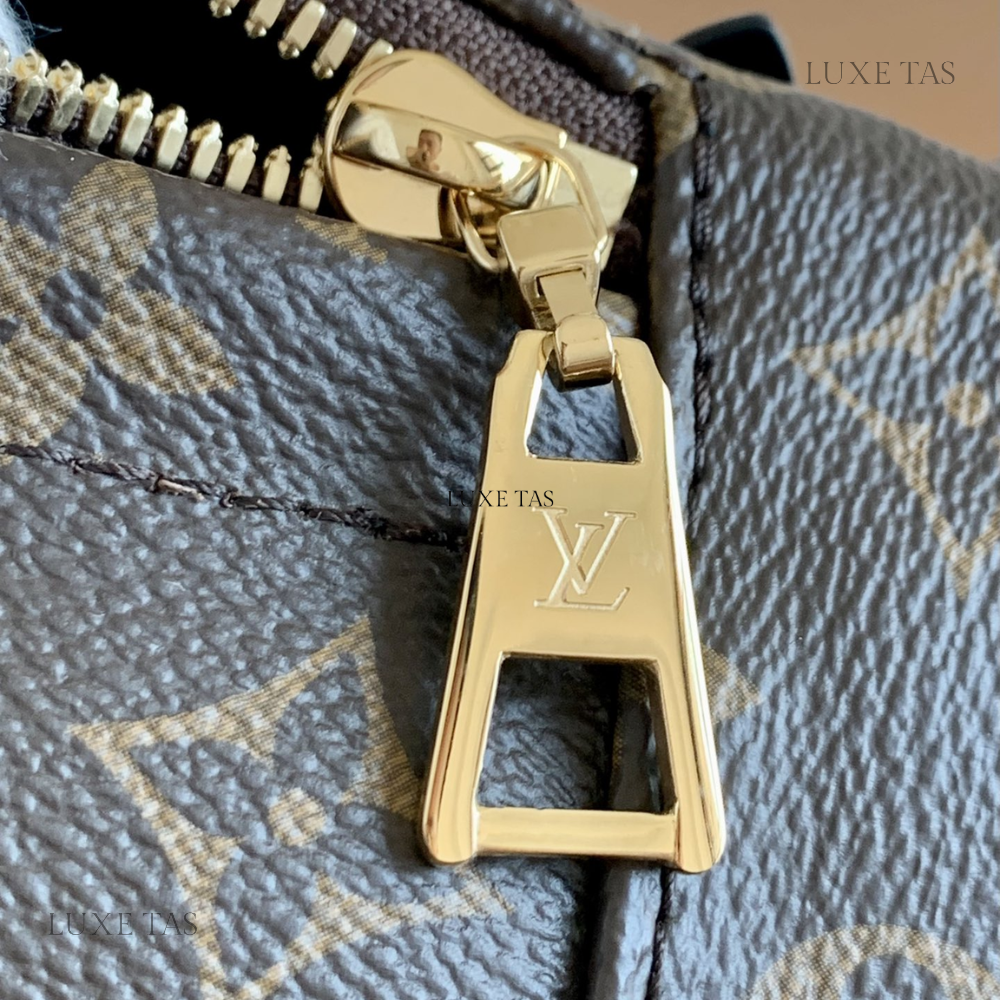 Monogram Palm Springs Mini Backpack Leather Backpack for Women