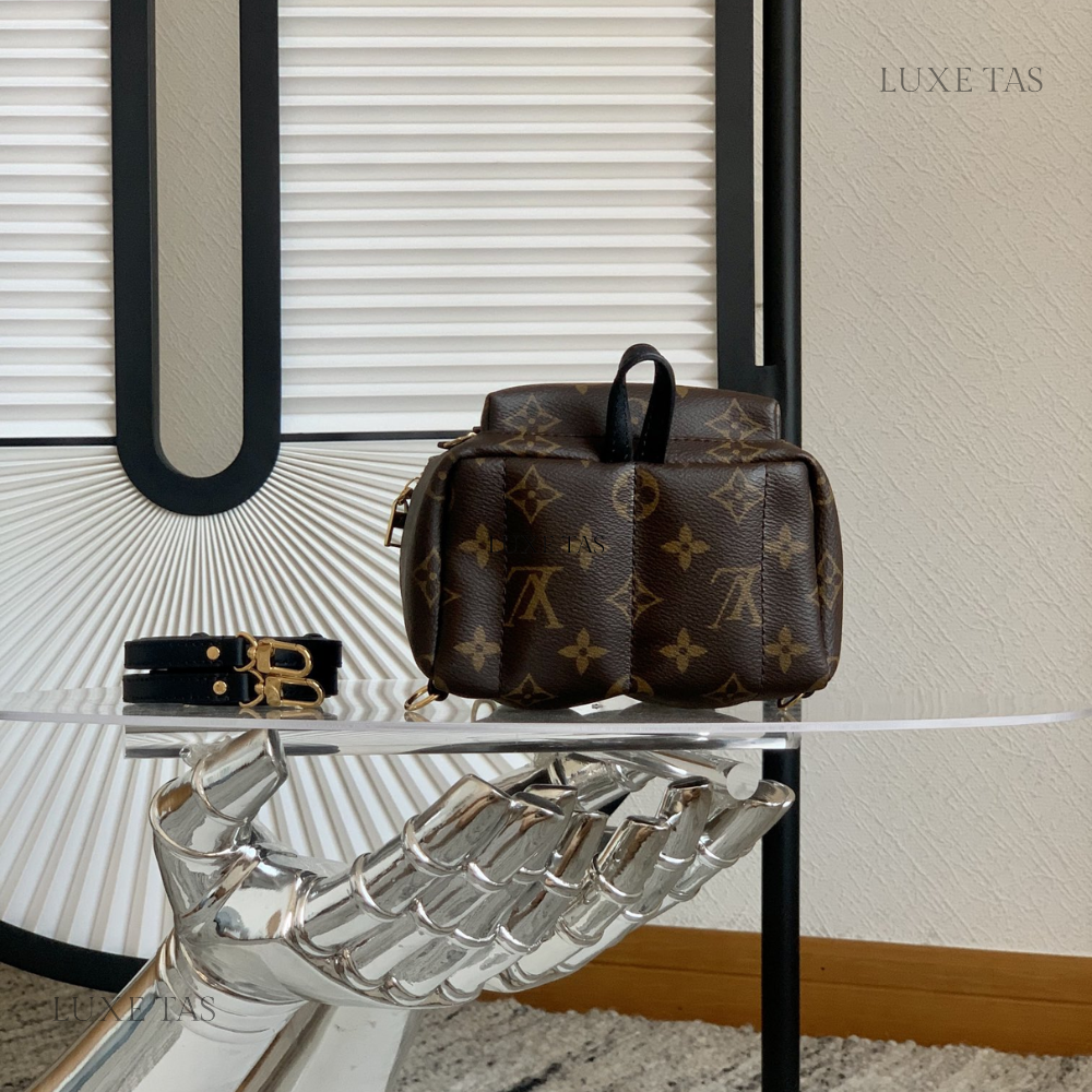 Monogram Palm Springs Mini Backpack Leather Backpack for Women