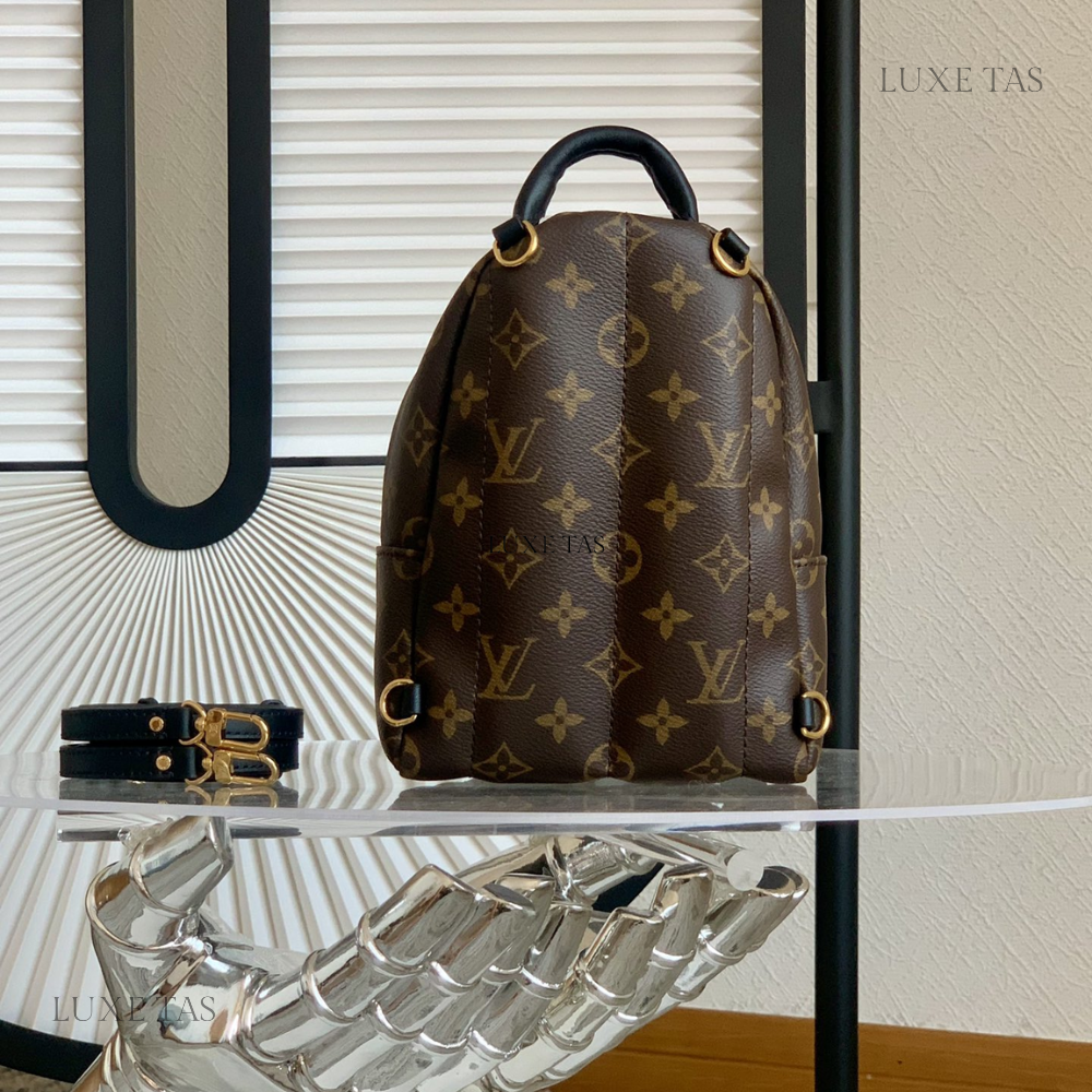 Monogram Palm Springs Mini Backpack Leather Backpack for Women