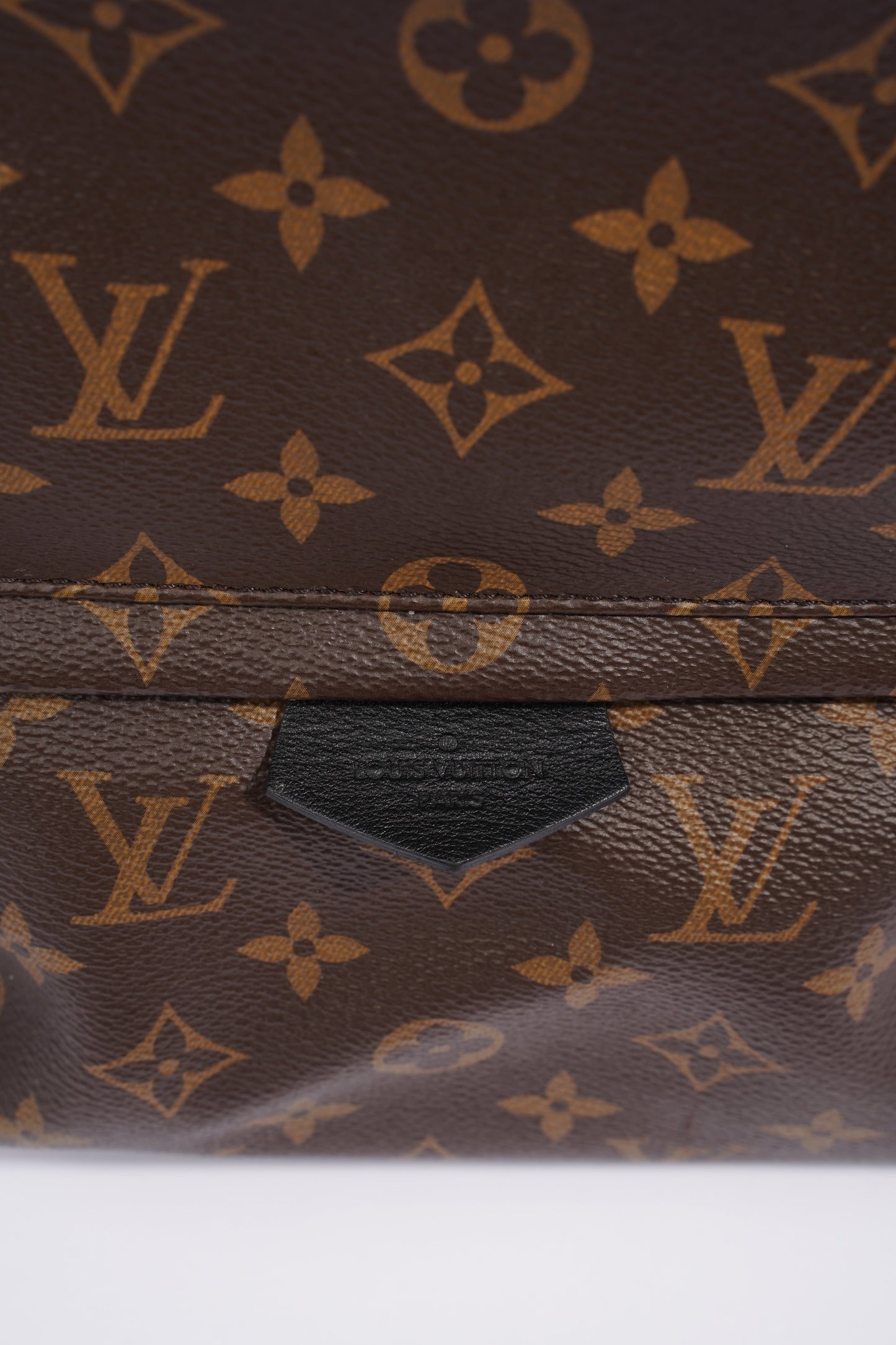 Louis Vuitton Palm Spring Backpack Monogram Canvas MM
