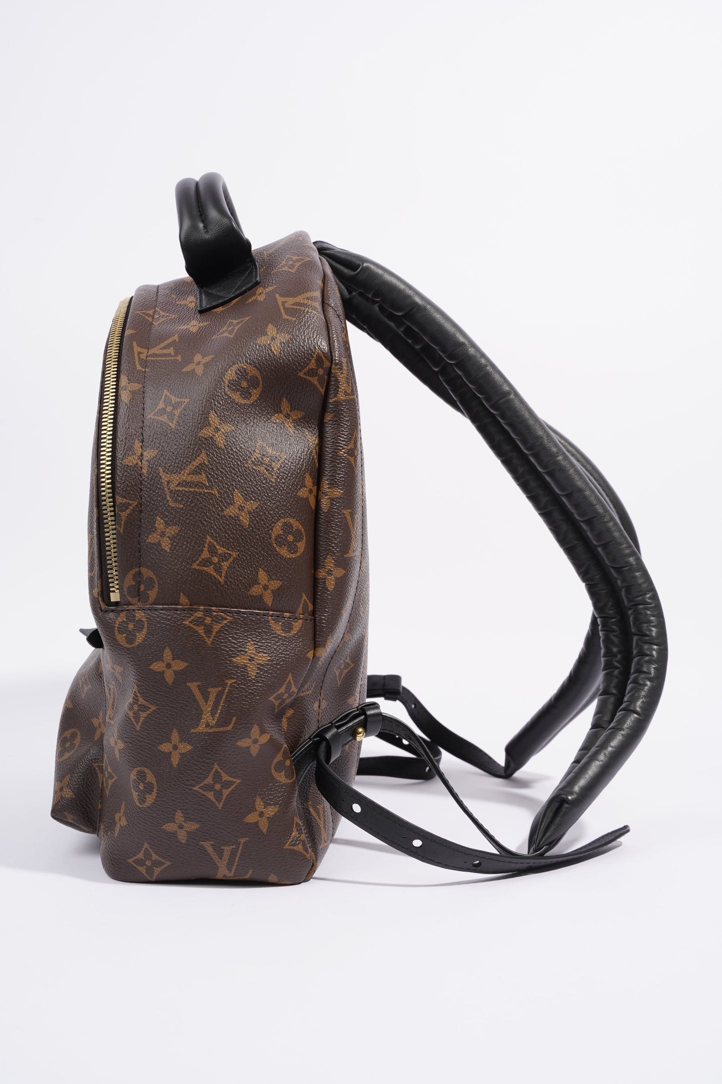 Louis Vuitton Palm Spring Backpack Monogram Canvas MM