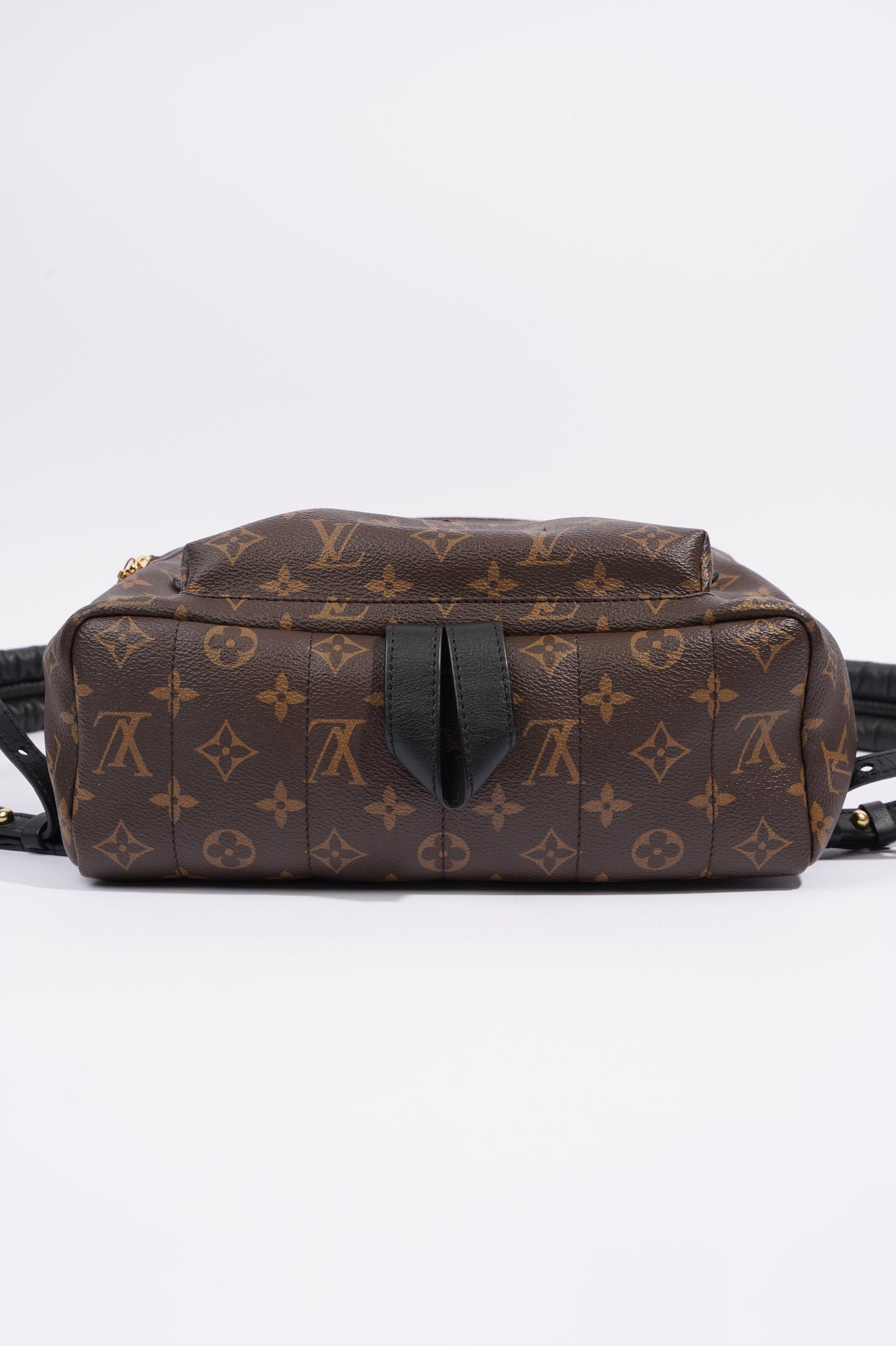 Louis Vuitton Palm Spring Backpack Monogram Canvas MM