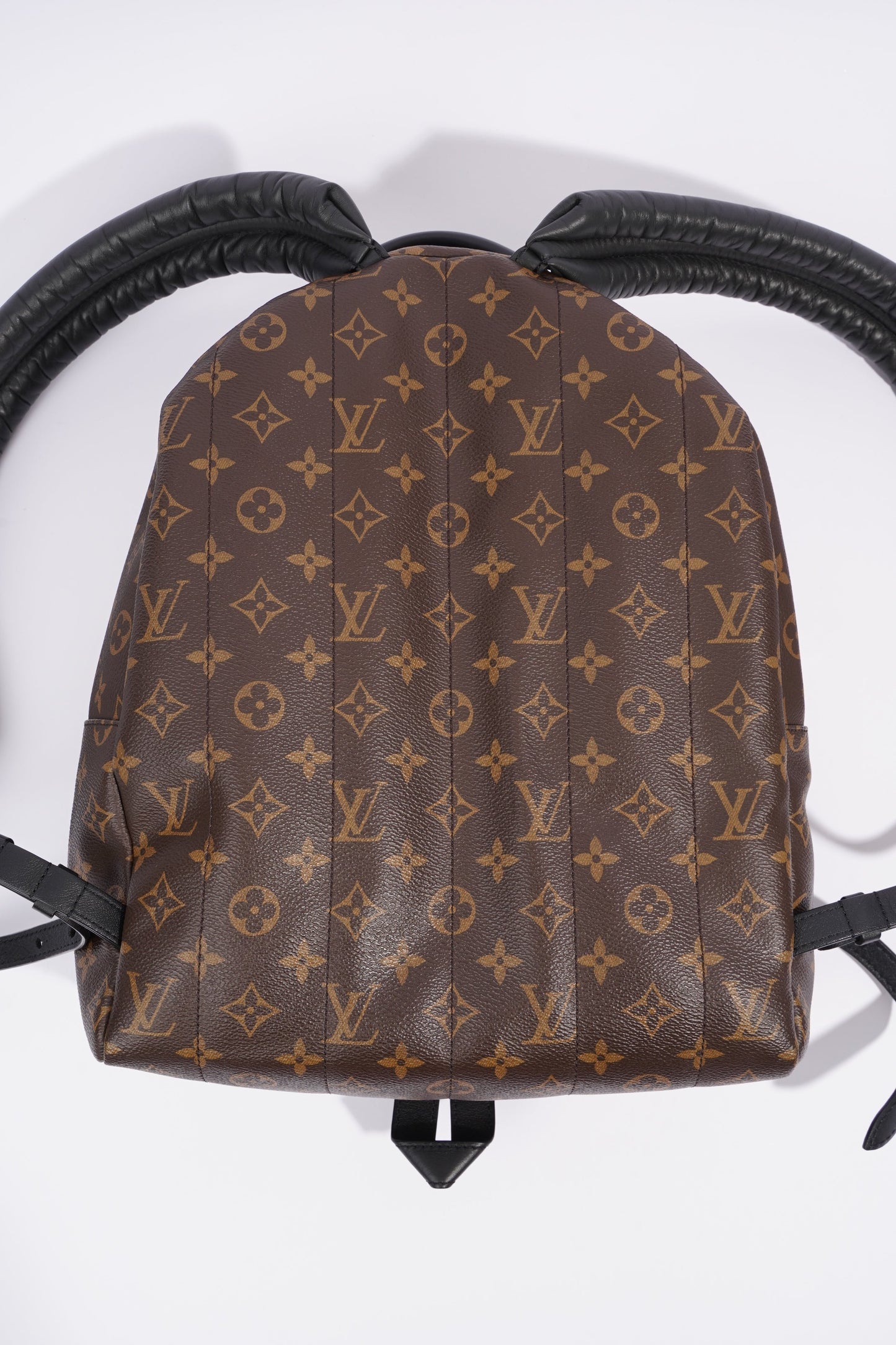 Louis Vuitton Palm Spring Backpack Monogram Canvas MM