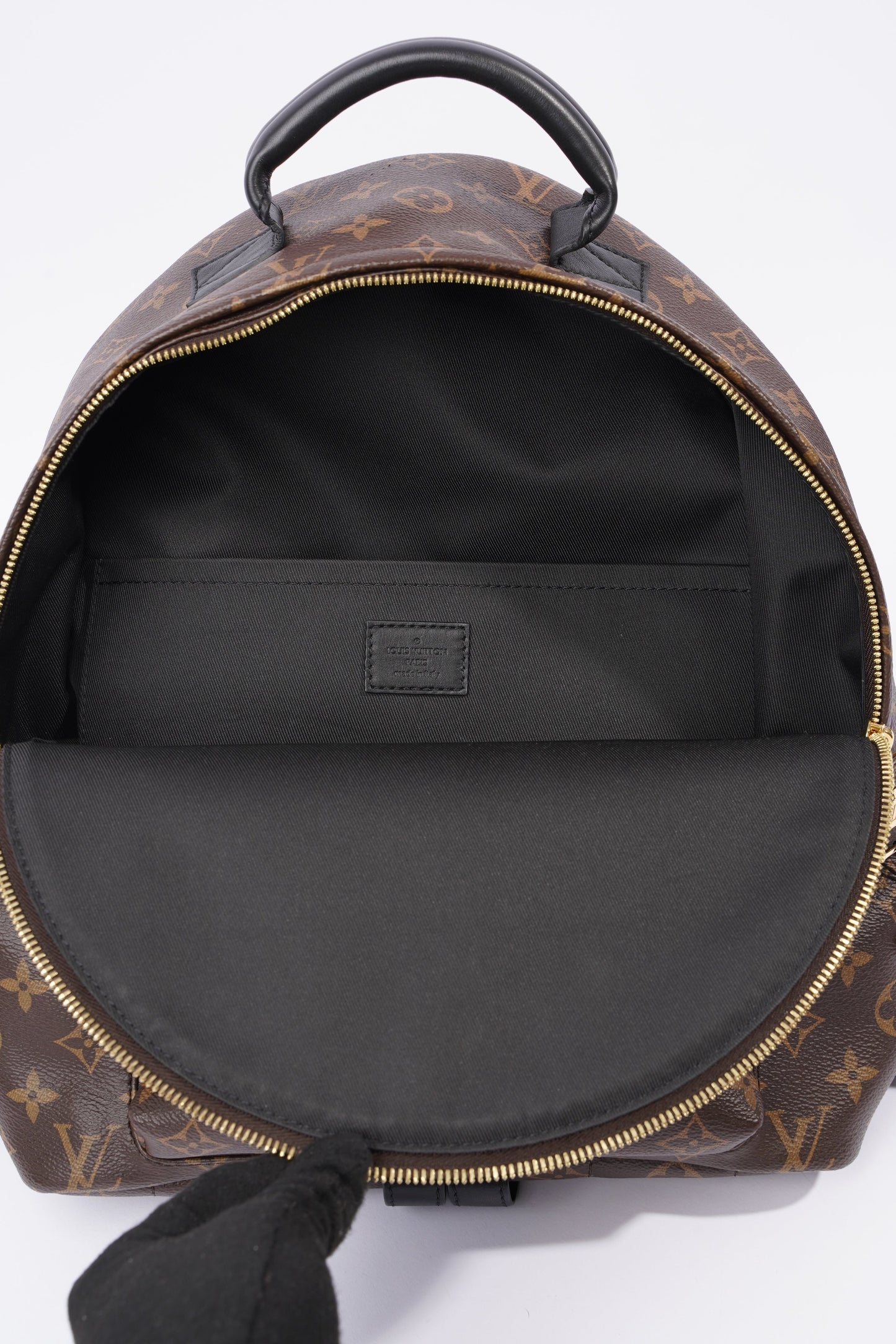 Louis Vuitton Palm Spring Backpack Monogram Canvas MM