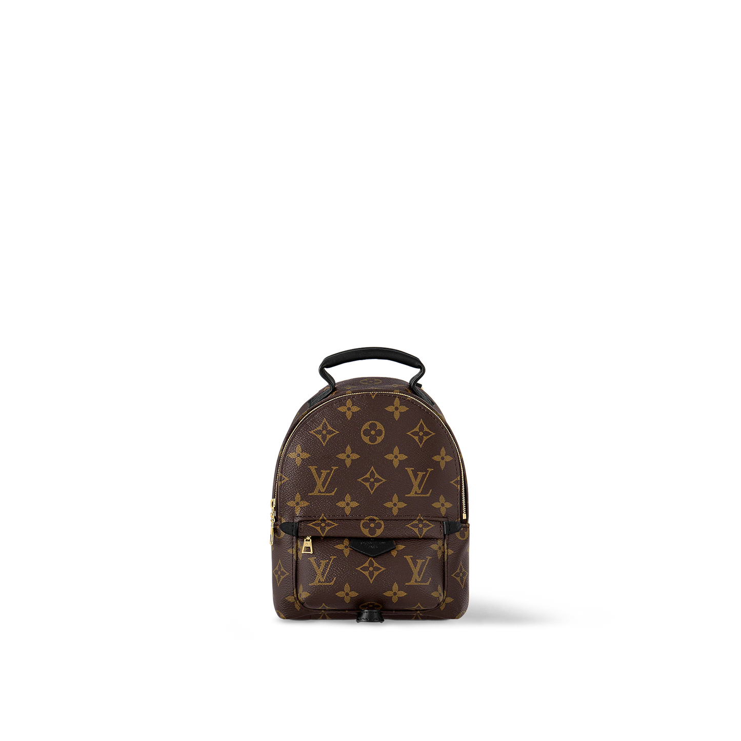 Monogram Palm Springs Mini Backpack Leather Backpack for Women