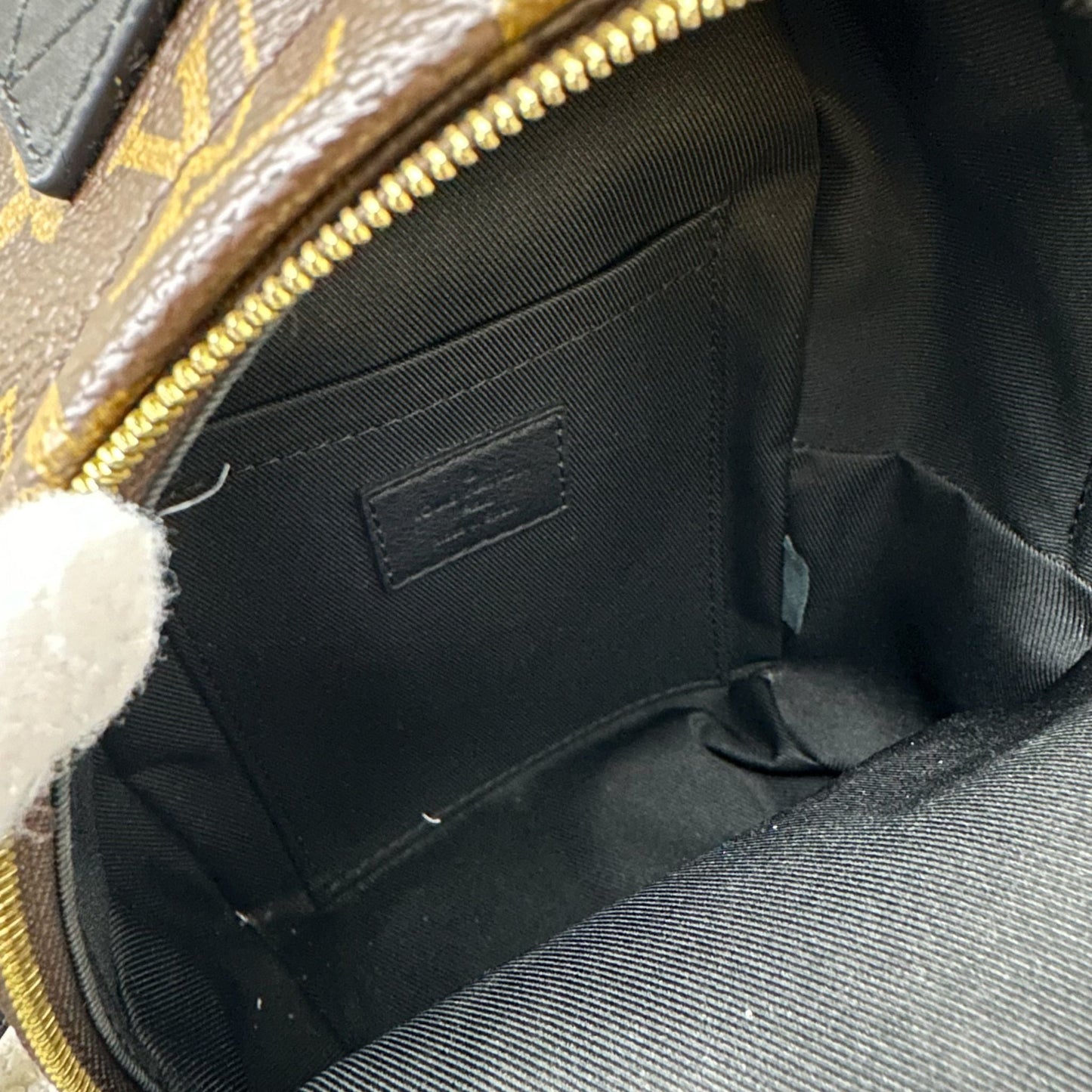 LV Palm Springs Mini Backpack in Monogram Canvas and GHW