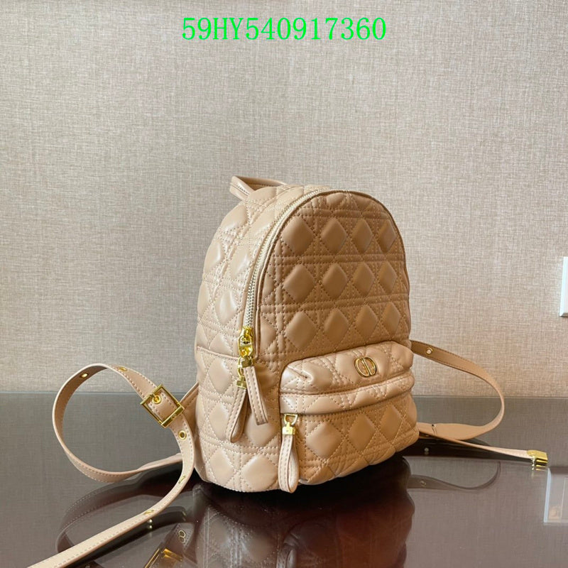 Christian Dior Luxury - The Tote   729