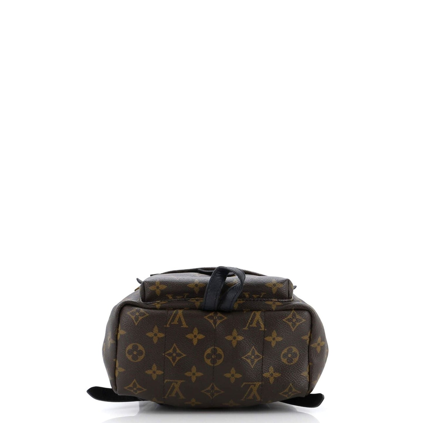 Louis Vuitton Palm Springs Backpack