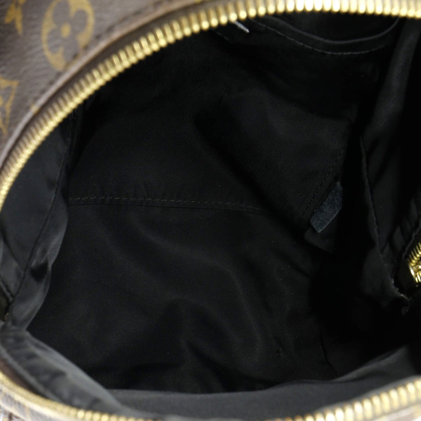 Louis Vuitton Palm Springs Backpack