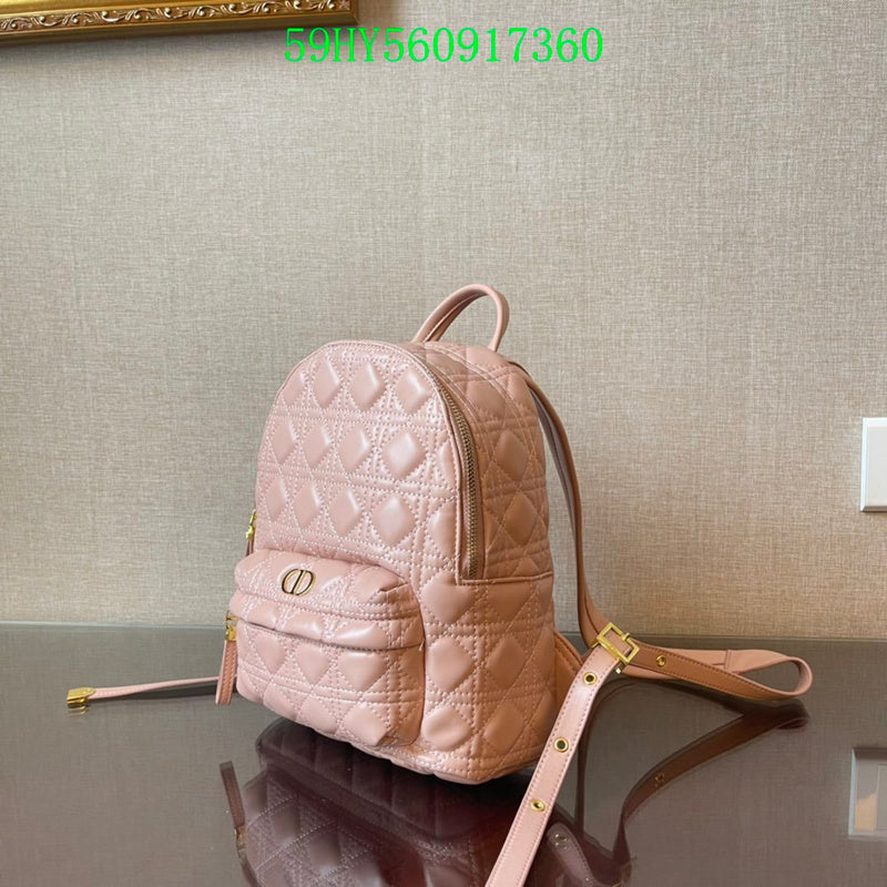 Christian Dior Luxury - The Tote   721