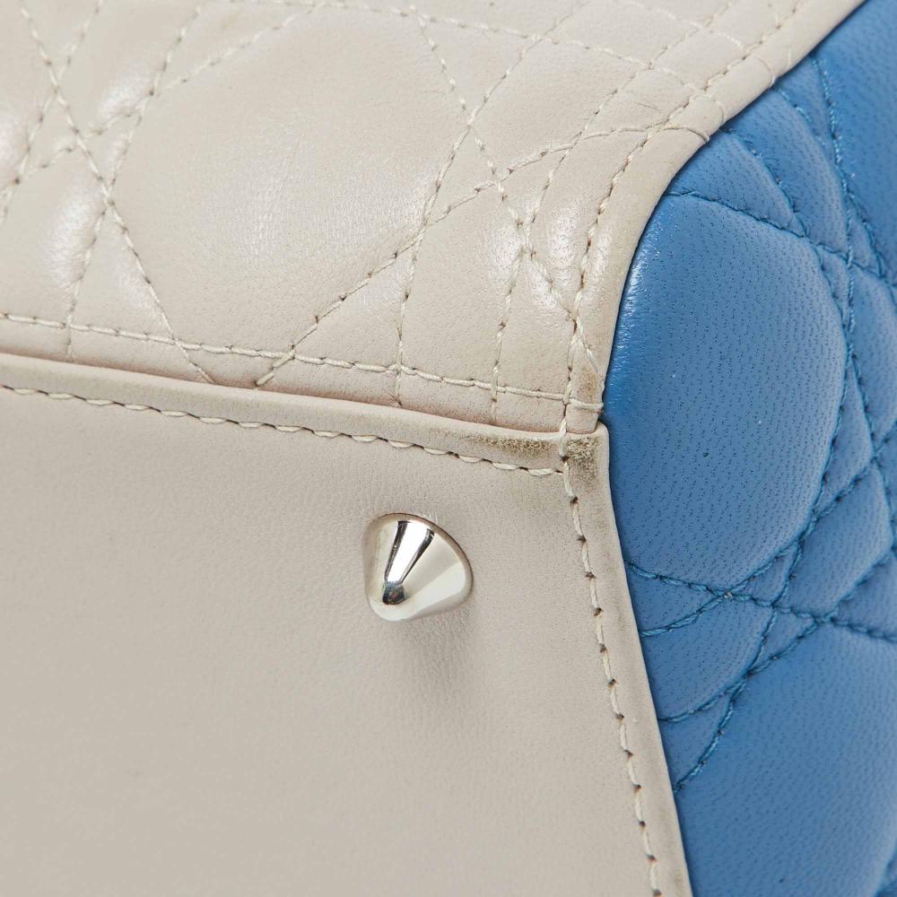 Multicolor Leather Dior Lady Dior