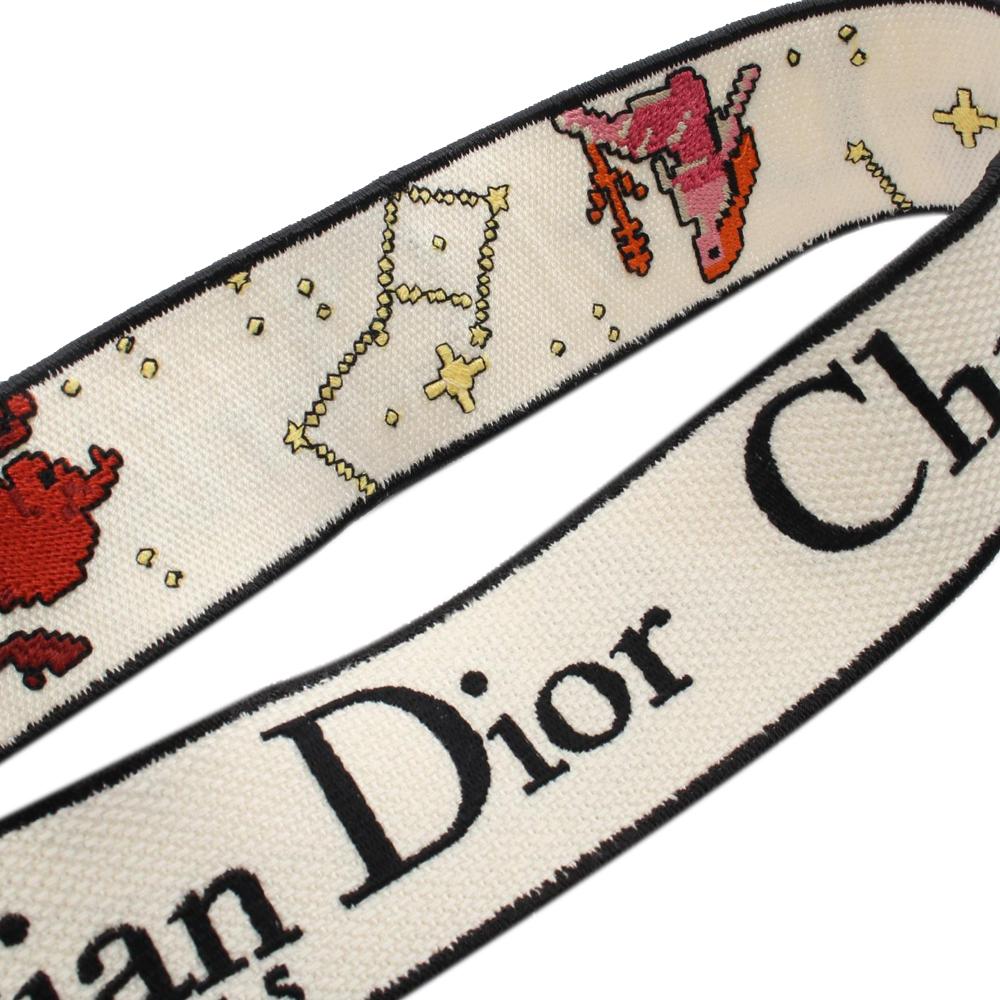 White Canvas Dior Lady Dior