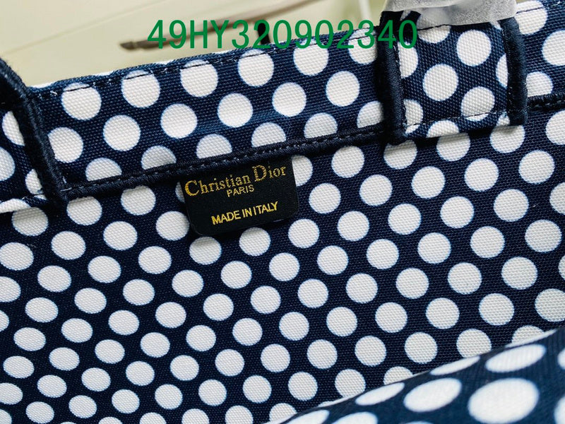 Christian Dior Luxury Bag - The Tote 360