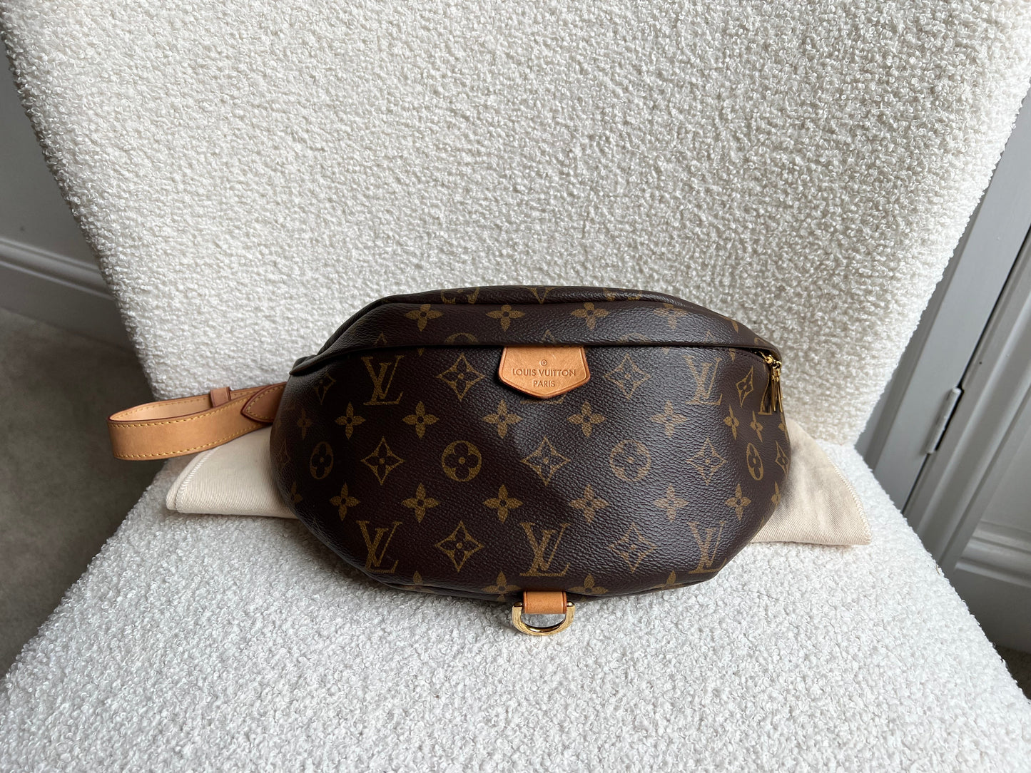 Louis Vuitton Bumbag in Monogram Canvas
