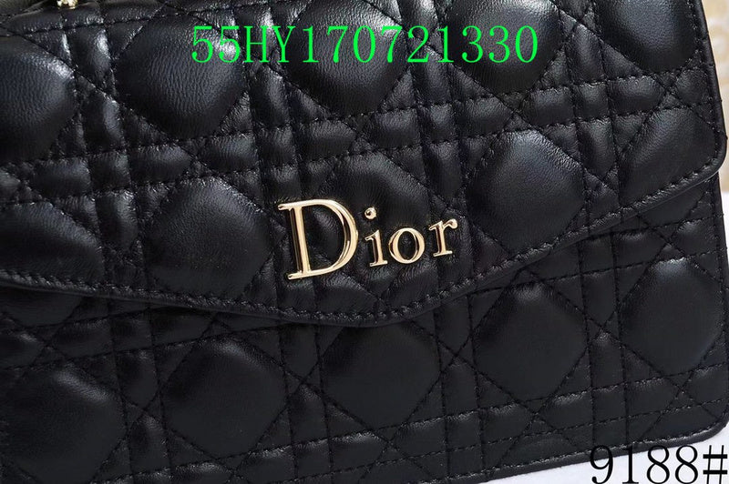Christian Dior Luxury - The Tote   661