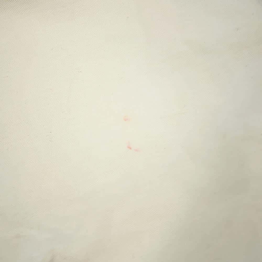 Dior Book tote BordeauxM1296ZRIW Canvas Size Medium