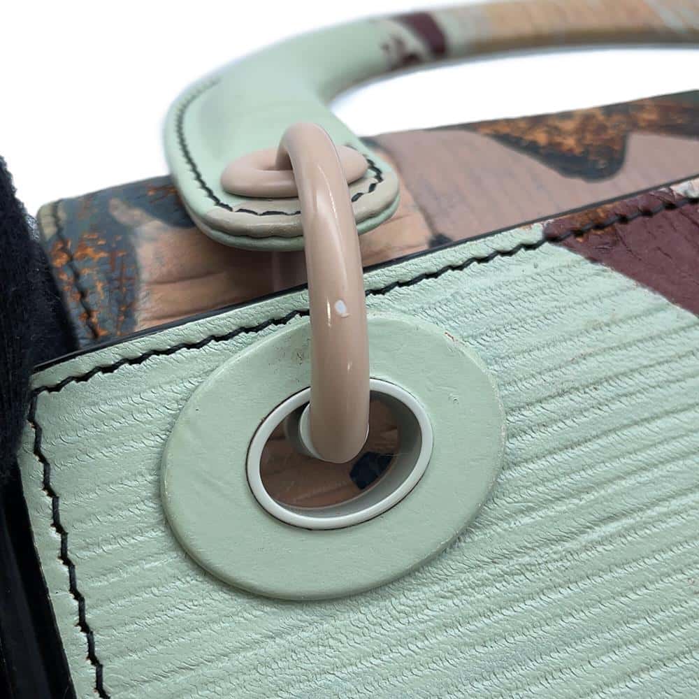 Dior Lady Dior Li Songsong Collaboration Multicolor Leather