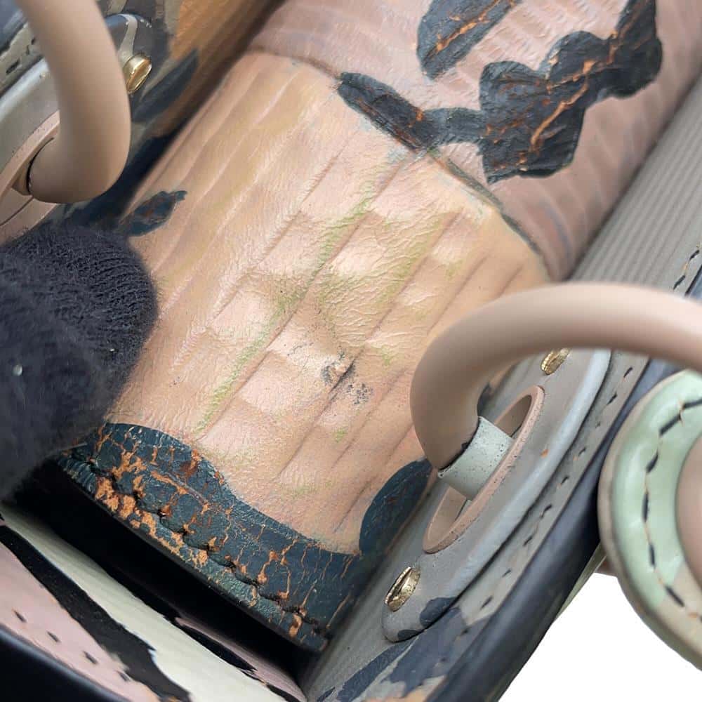 Dior Lady Dior Li Songsong Collaboration Multicolor Leather