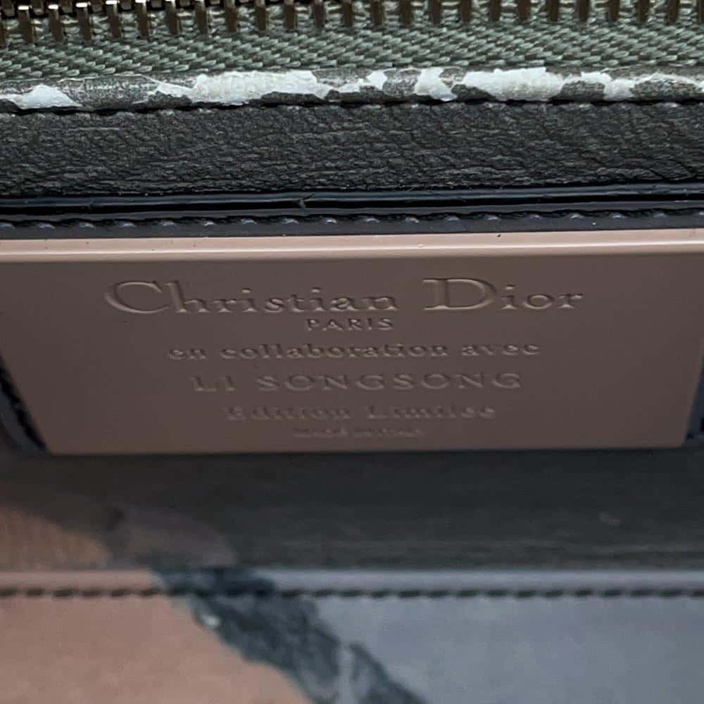 Dior Lady Dior Li Songsong Collaboration Multicolor Leather