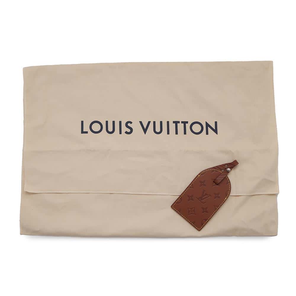 LOUIS VUITTON Montsouris Messenger BrownM23097 Epi XL