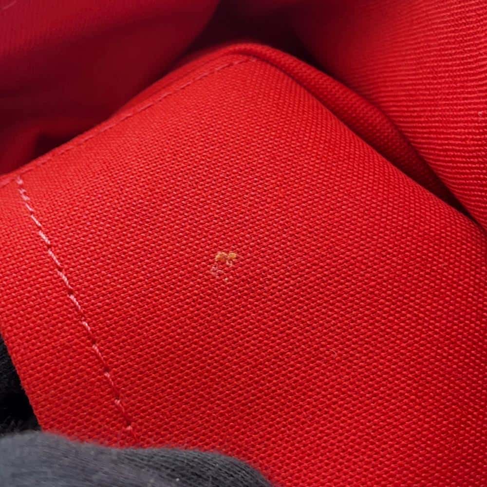 LOUIS VUITTON Bloomsbury RedN42251 Damier Ebene Canvas Size PM
