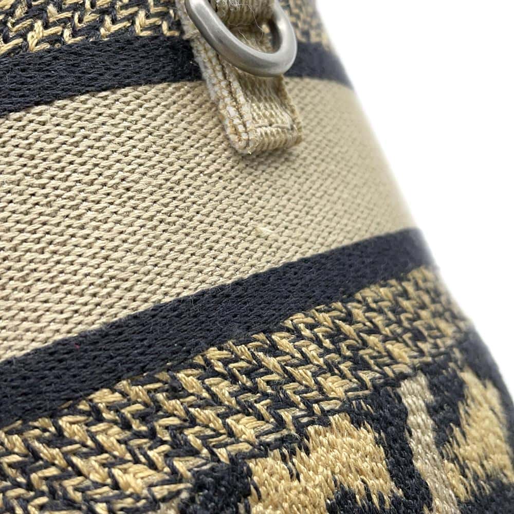 Dior Vanity Leopard Beige Canvas