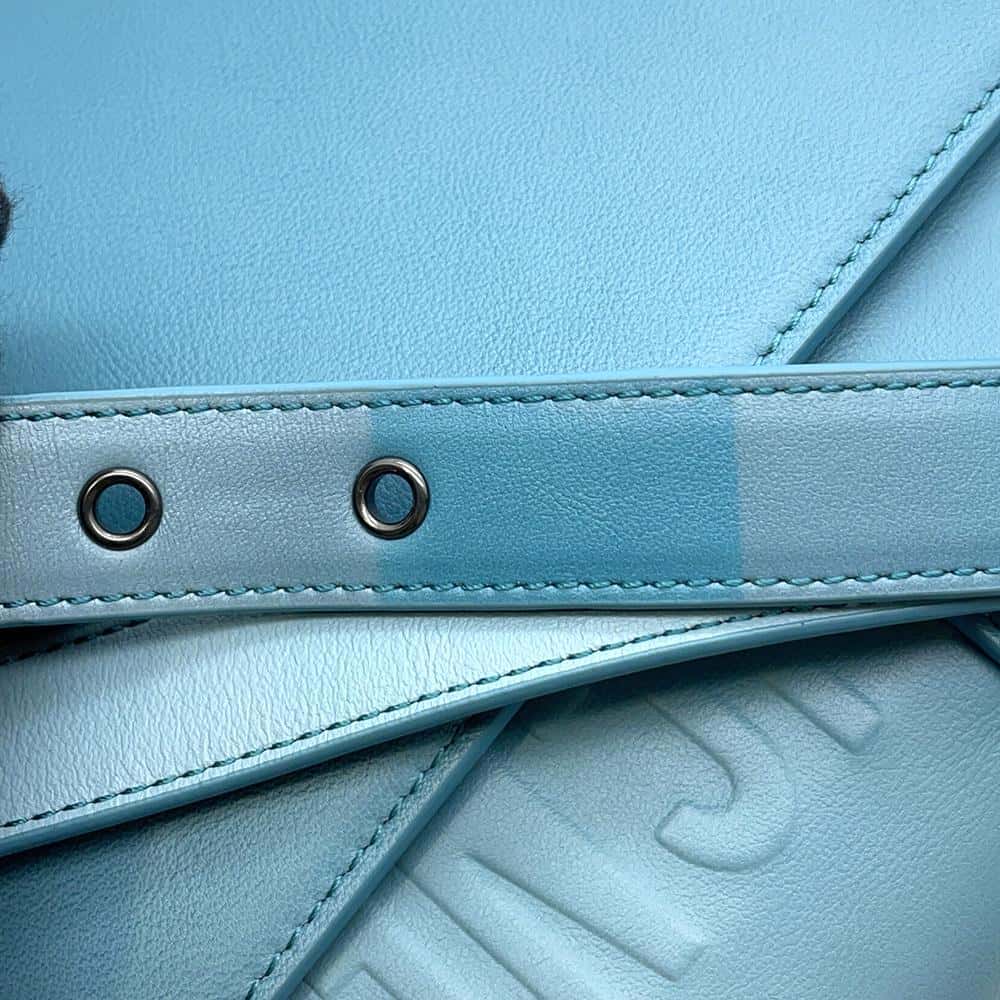 Dior 30 Montaigne Gradation Blue Leather