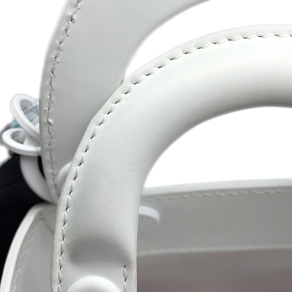 Dior Lady Dior Capsule Bag White Leather Plastic