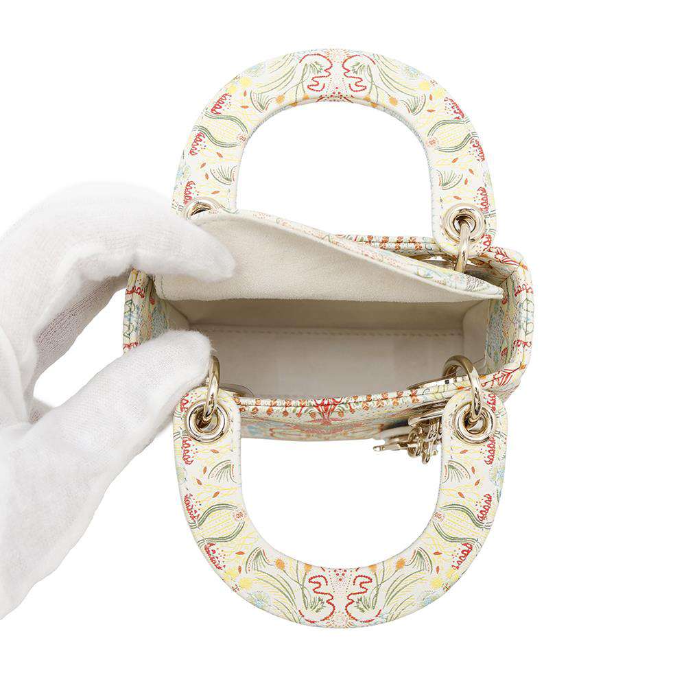 Dior Lady Dior Multicolor Leather Size micro