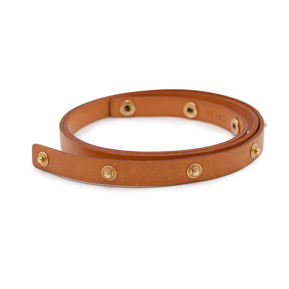 LOUIS VUITTON Pochette Florentine BrownM51855 Monogram Size XS