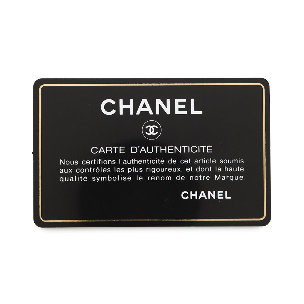 CHANEL Decacoco Camera Bag PinkAS0321 Lambskin