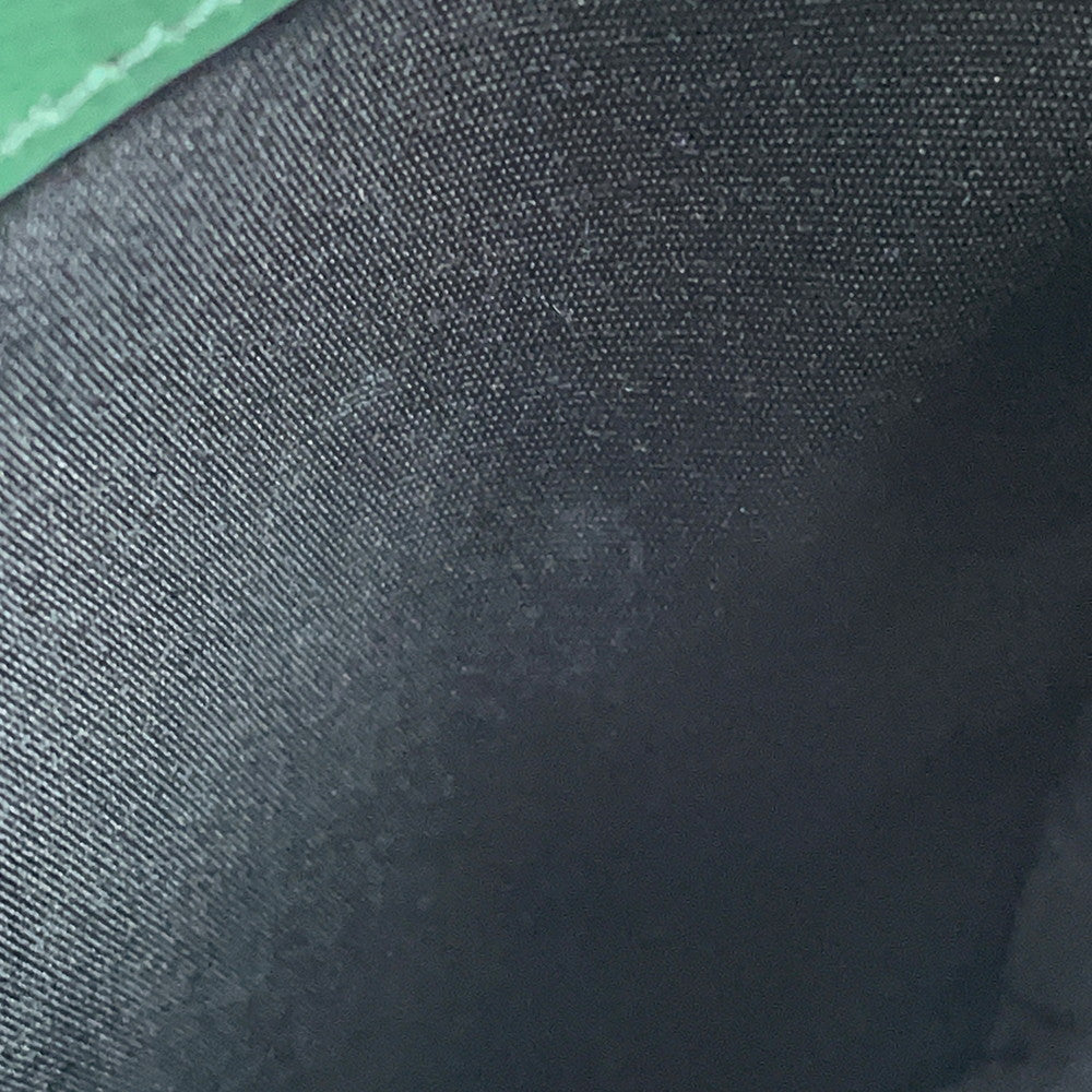 Dior World Tour Messenger Pouch Green2ESBC265CLP Leather