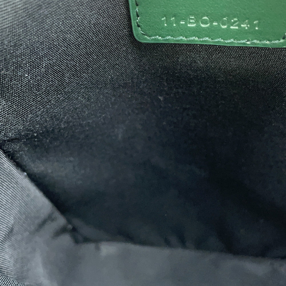 Dior World Tour Messenger Pouch Green2ESBC265CLP Leather