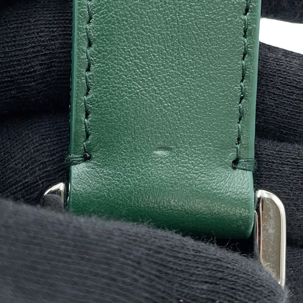 Dior World Tour Messenger Pouch Green2ESBC265CLP Leather