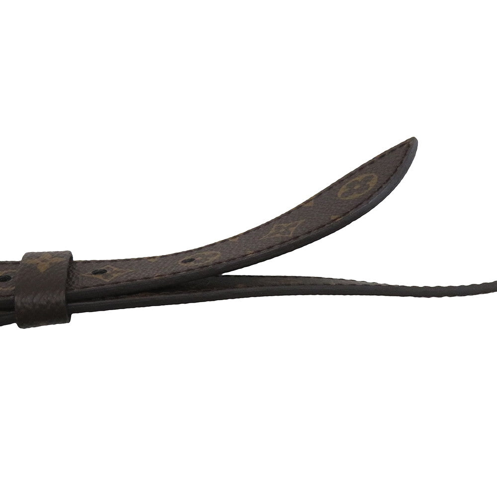 LOUIS VUITTON Pillow Maxi Bumbag Silver/BrownM20971 Recycled MetallicNylon Monogram