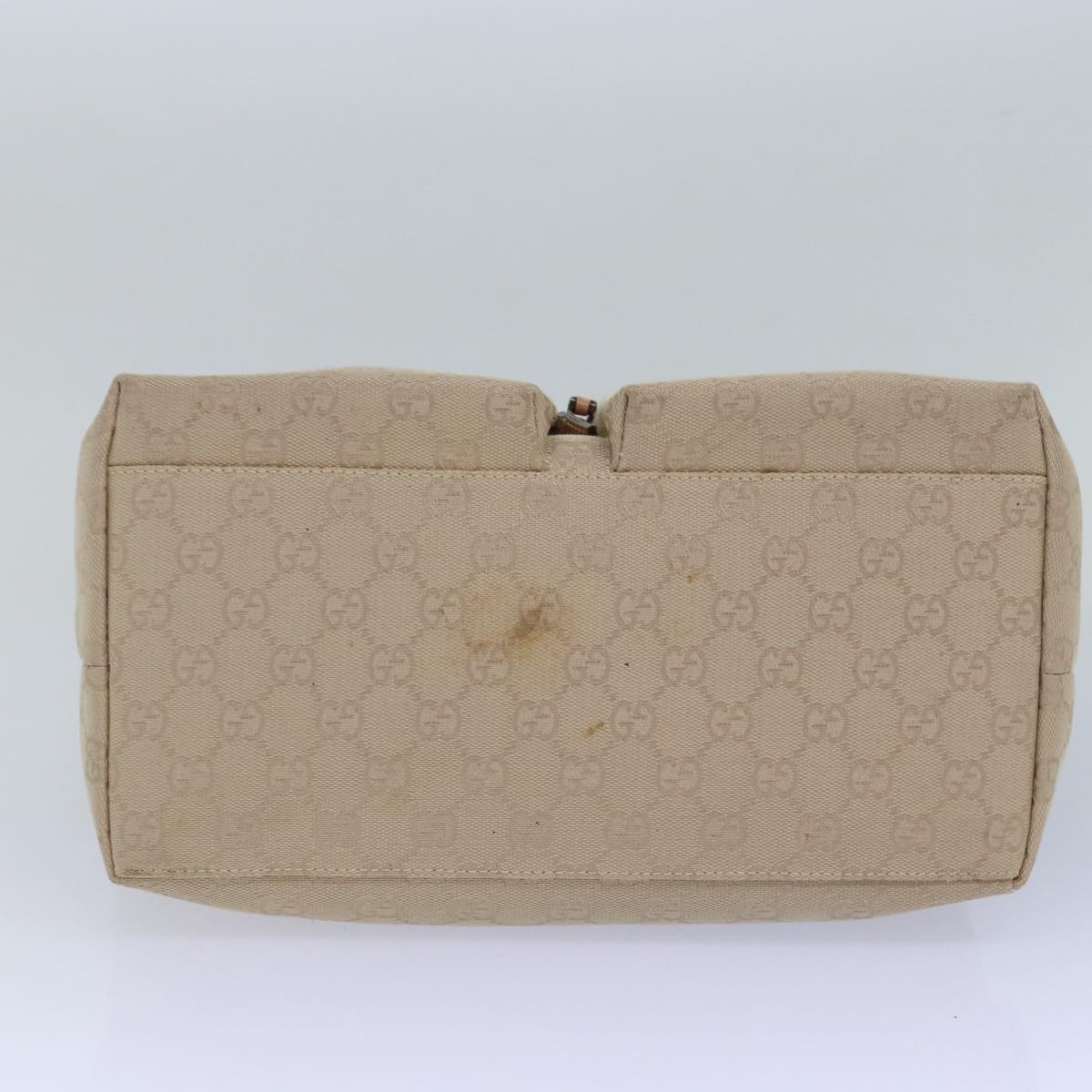 Gucci GG canvas