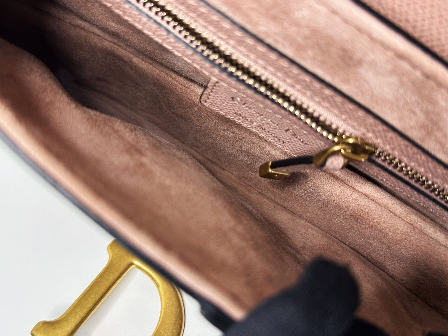 Christian Dior Saddle Bag with Strap Golden Saddle Nude Brush Grained Calfskin 2023 year