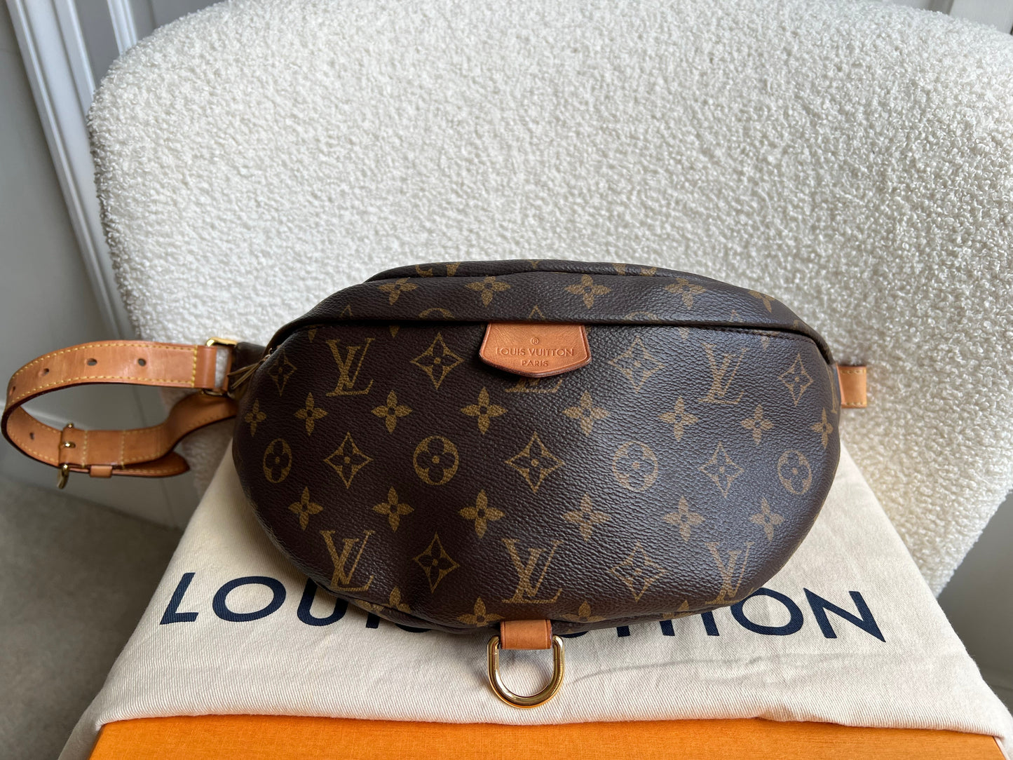 Louis Vuitton Bumbag in Monogram Canvas