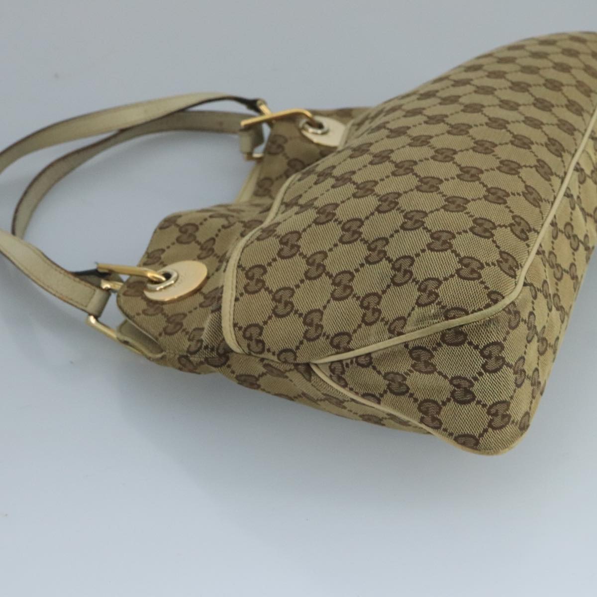 Gucci GG canvas