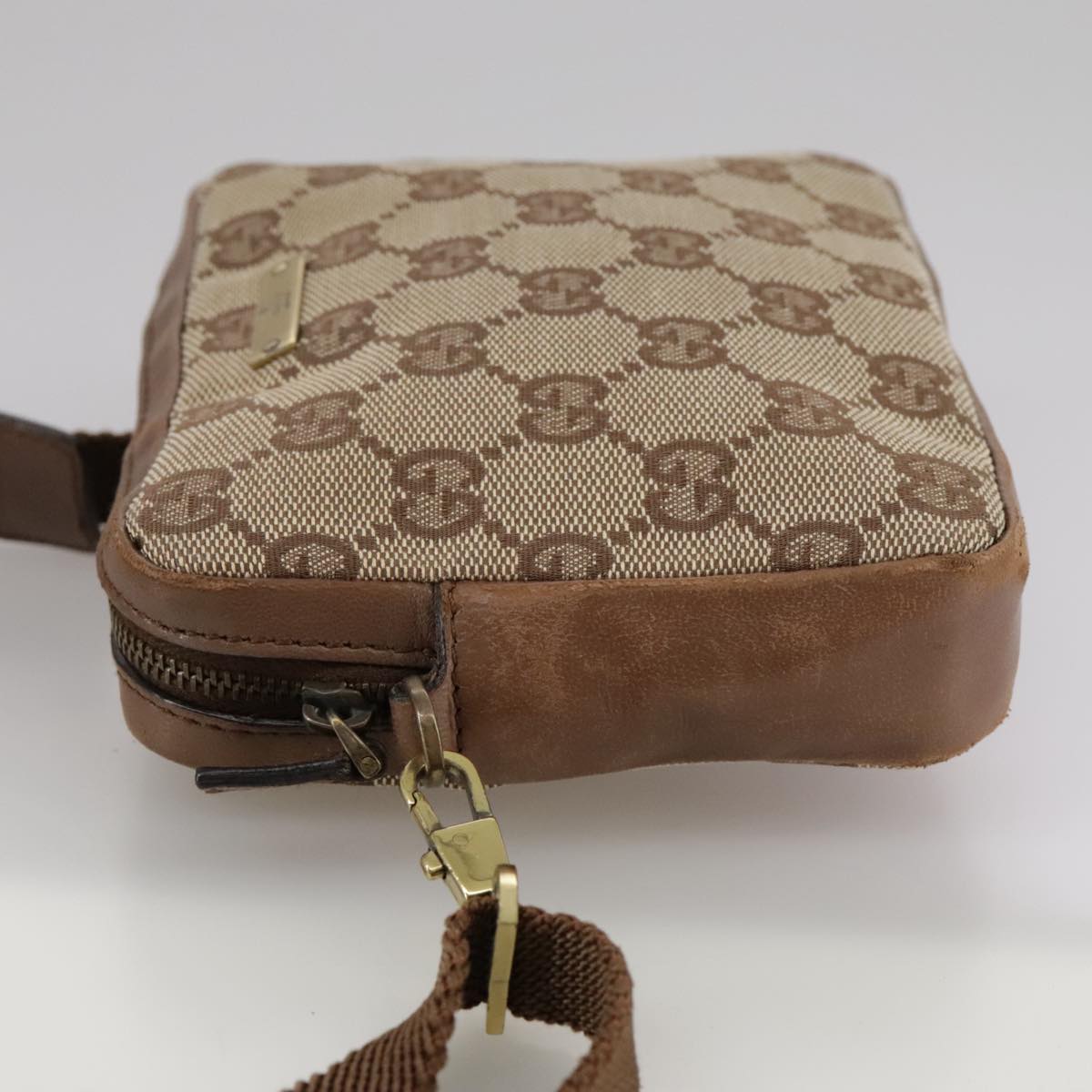 Gucci GG canvas