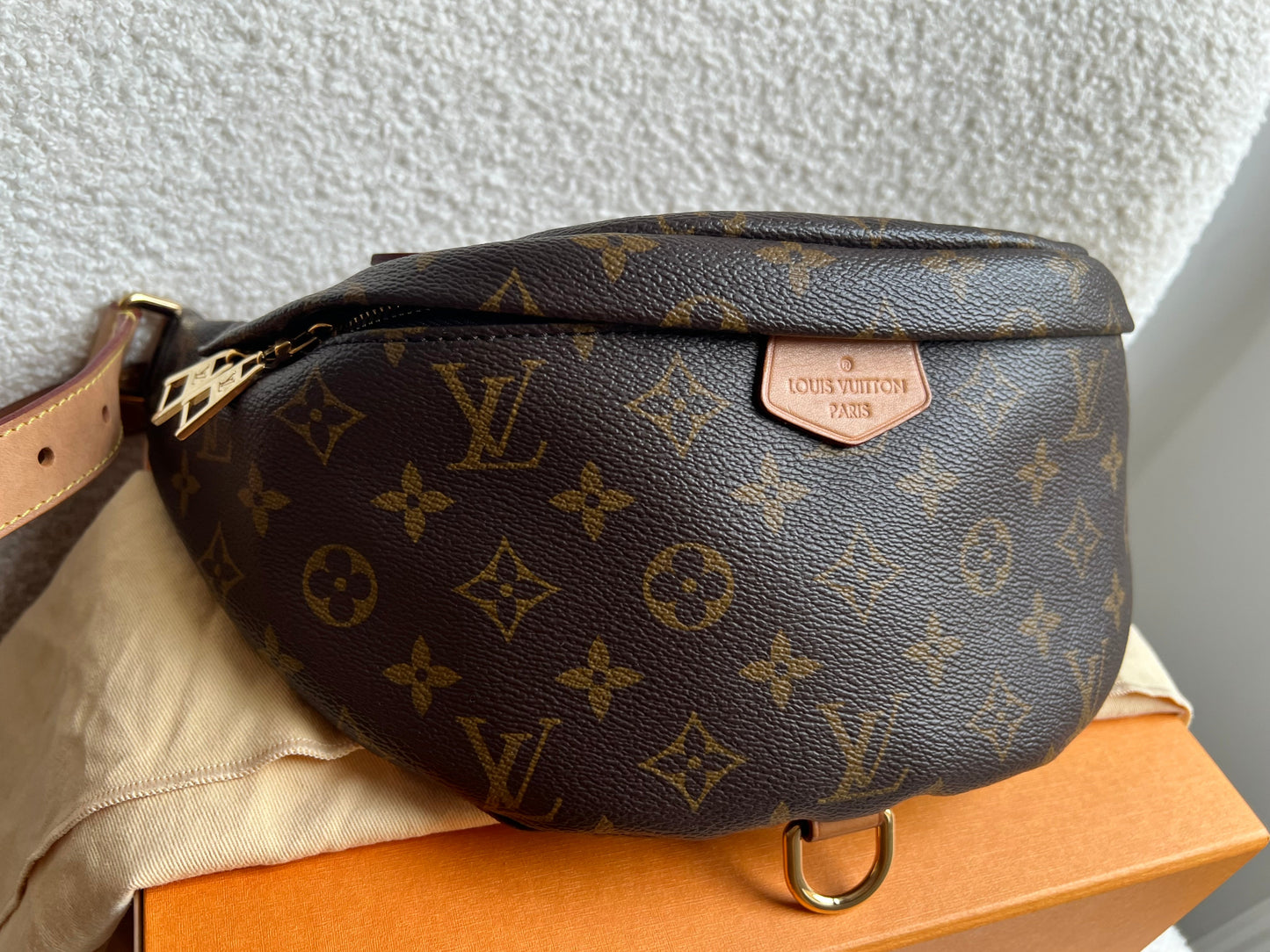Louis Vuitton Bumbag in Monogram Canvas
