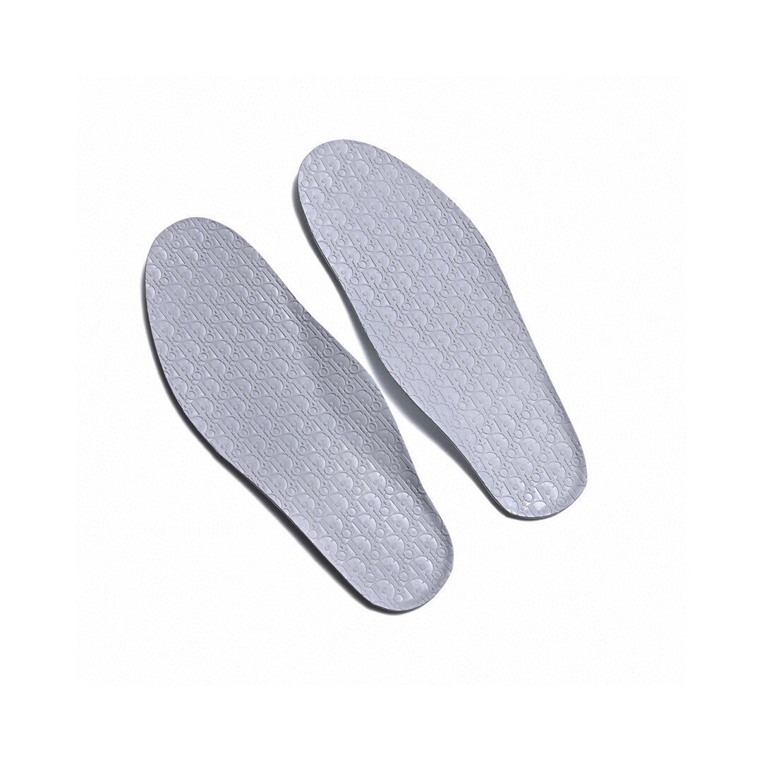 Christian Dior x AJ1 High